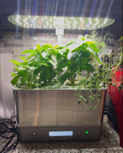 AeroGarden Harvest Elite Slim LED