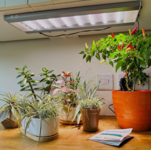 Mars Hydro FC Series LED Grow Light